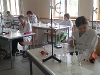 Schule 1184 : Schule